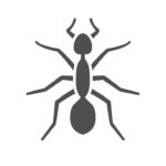 Ant Exterminator Millbrook, AL