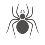 Spider Pest Control Company Wetumpka, AL